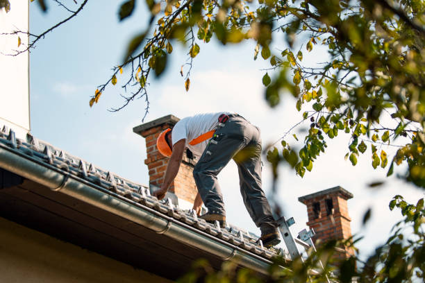 Best Best Roofing Contractors  in Luckey, OH