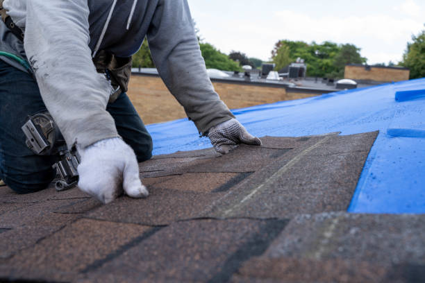 Best Commercial Roofing Services  in Luckey, OH
